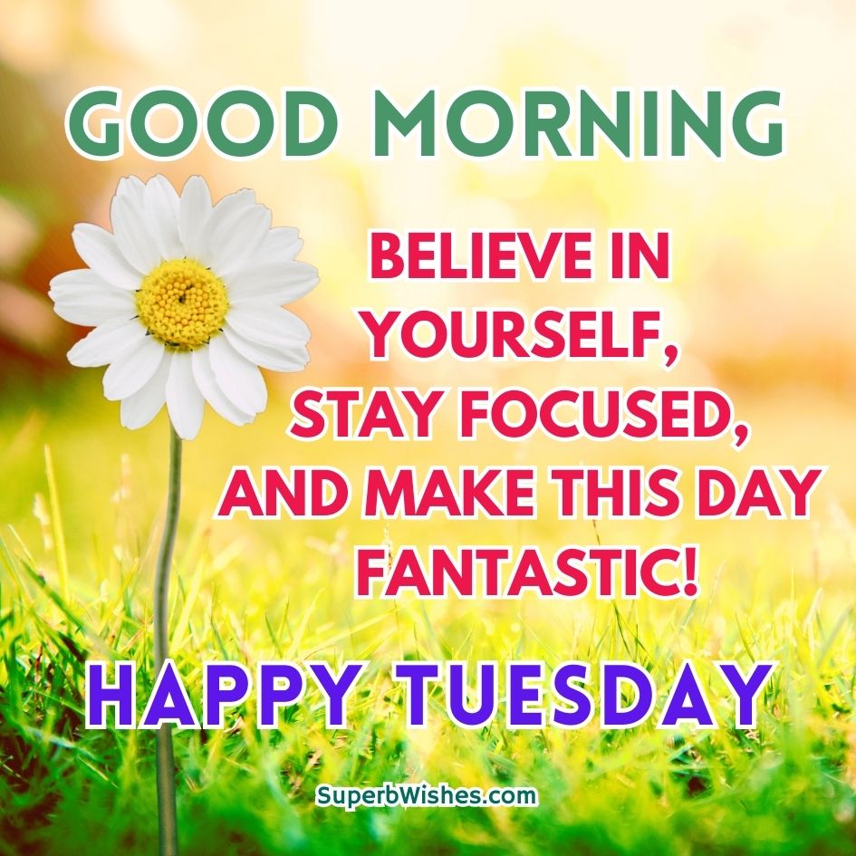 Happy Tuesday Images - Make This Day Fantastic! | SuperbWishes.com
