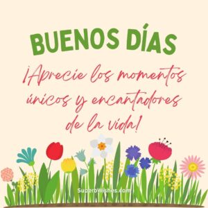 Buenos Días Imágenes - Aprecie Los Momentos Unicos