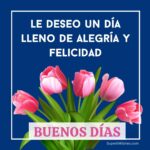 Buenos Días Imágenes - Le Deseo Un Día Lleno De Alegría Y Felicidad