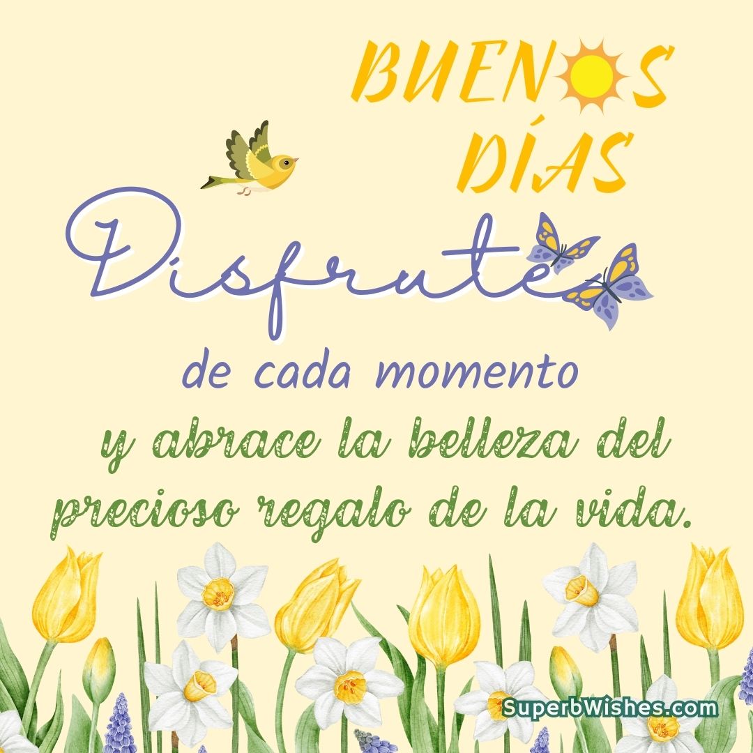 Buenos Días Imágenes - Disfrute De Cada Momento