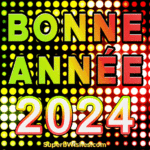 Incroyable Bonne Année 2024 Fête Lumières GIF