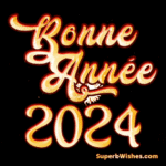 Magnifique feu d'artifice Bonne Année 2024 GIF