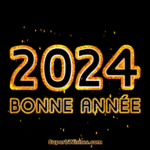 Grand feu d'artifice Bonne année 2024 GIF