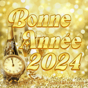 Vous souhaitant une Bonne Année 2024 GIF