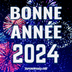 Feux d’artifice de nombreuses couleurs Voeux animés du Nouvel An 2024