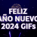 Feliz Año Nuevo 2024 GIFs