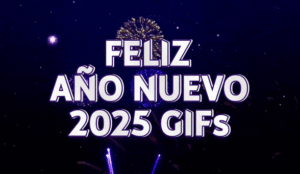 Feliz Año Nuevo 2025 GIFs