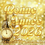 Vous souhaitant une Bonne Année 2026 GIF