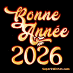 Magnifique feu d'artifice Bonne Année 2026 GIF