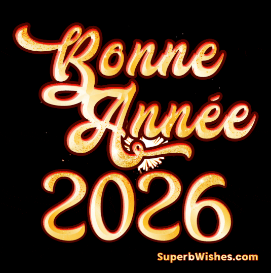 Magnifique feu d'artifice Bonne Année 2026 GIF